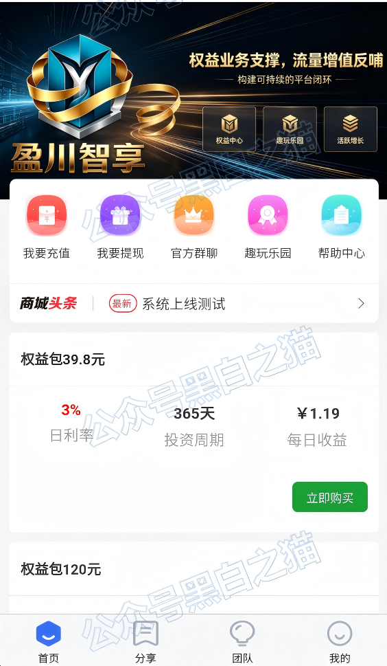 原文相关图片5